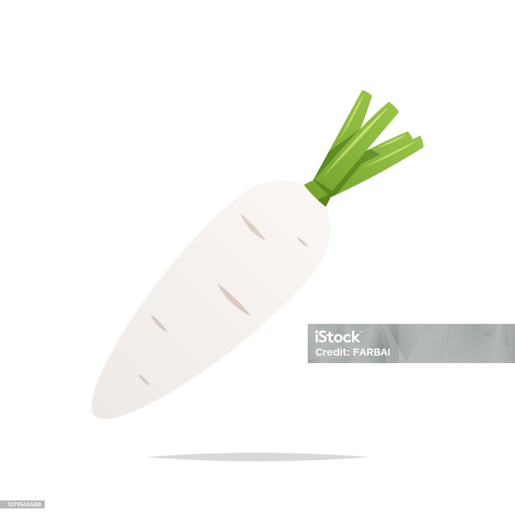 Vector Radis Rag Radis Blanc Vector Illustration Isolée Vecteurs libres de droits et ...