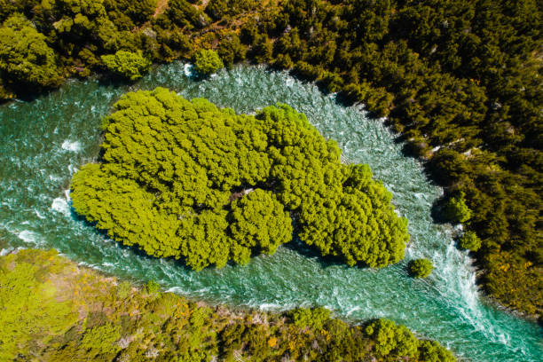 Buller river, Gowan Valley, Tasman District, South Island, New Zealand.