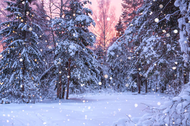 istock winter landscape with forest, trees and sunrise 1079553678
