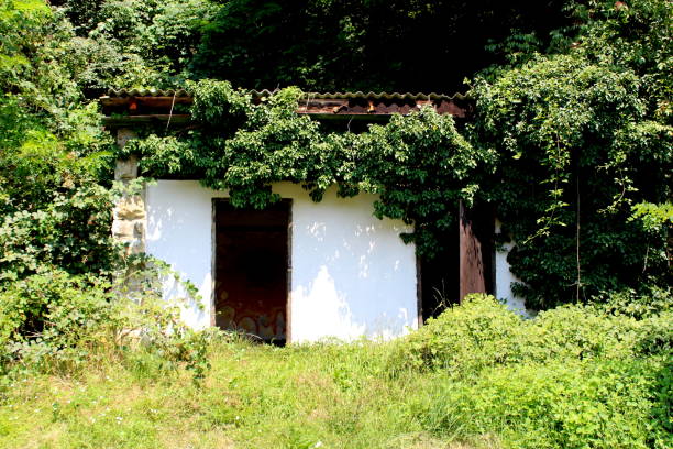 istock Abandoned old outdoor beach changing room with missing doors and broken roof surrounded with overgrown trees 1079561114