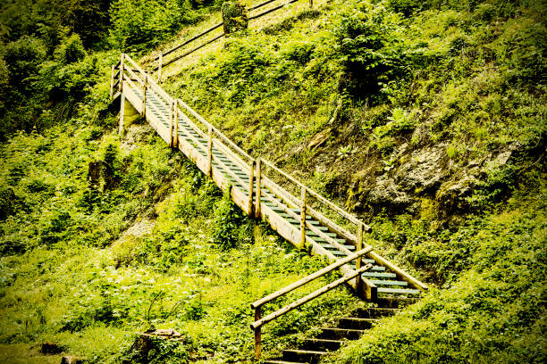 Morning mist over the Austrian landscape with wooden staircase.  Rain and in rural Austria. Vintage style