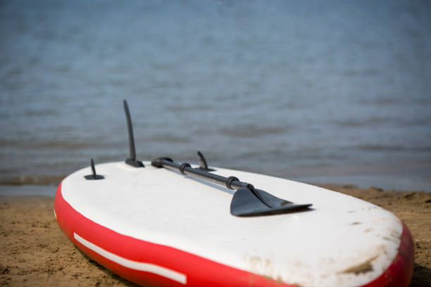 istock Paddle Board with paddle in sand by the sea 1079595260