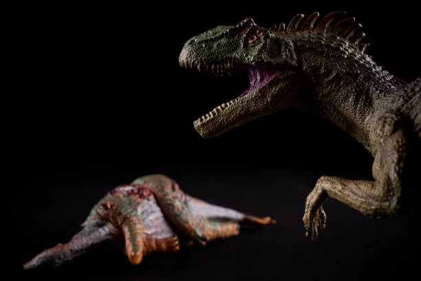 istock allosaurus in front of a stegosaurus body on dark background 1079595854