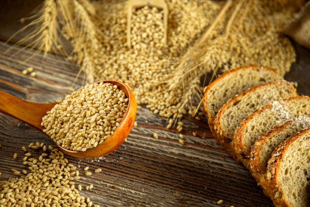 istock Delicious Fresh Bread Food Concept 1079598016