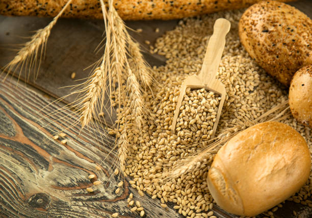 istock Delicious Fresh Bread Food Concept 1079598896