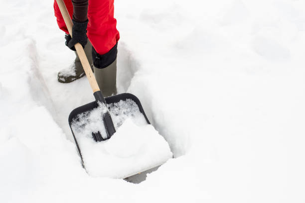 istock Woman using black plastic shovel with a wooden handle makes the path in the snow. 1079605346