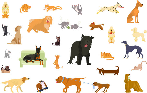 2850_cat Big set of pets in various poses. Cats and dogs bundle. Vector illustration eps 10 dog sitting vector stock illustrations