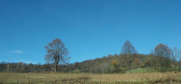 Turin Hills in Turin