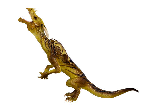 istock 3D illustration fantasy dragon on white 1079626762