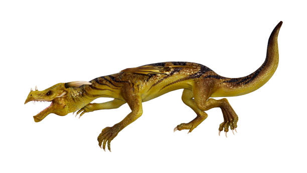 istock 3D illustration fantasy dragon on white 1079626936