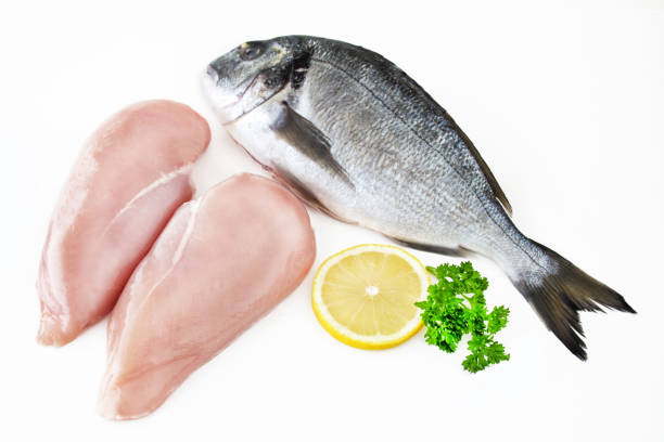 istock Dorade fish and chicken meat 1079627158