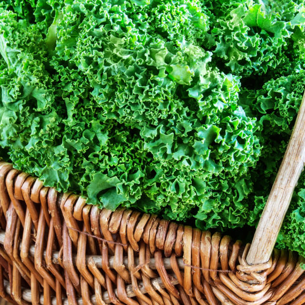 istock Green Cabbage Kale and Basket 1079629456