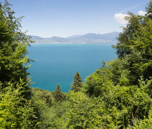 istock Look through at lake Geneva (France, Switzerland) 1079630018