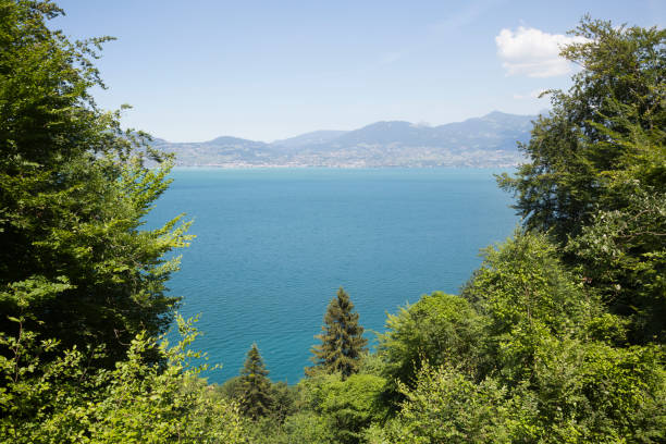 istock Look through at lake Geneva (France, Switzerland) 1079630046