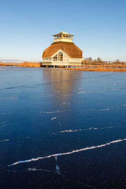 자연 얼음 및 방문자 센터에서 균열 - 15824 뉴스 사진 이미지