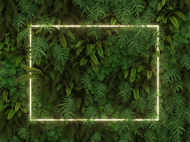 istock Tropical leaves foliage jungle plant bush nature backdrop with white colorful frame 1079643384