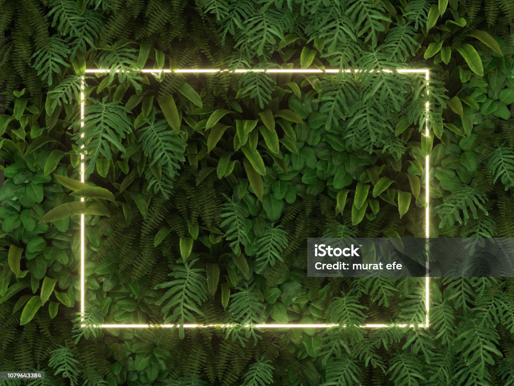 Tropical leaves foliage jungle plant bush nature backdrop with white colorful frame Neon Lighting Stock Photo