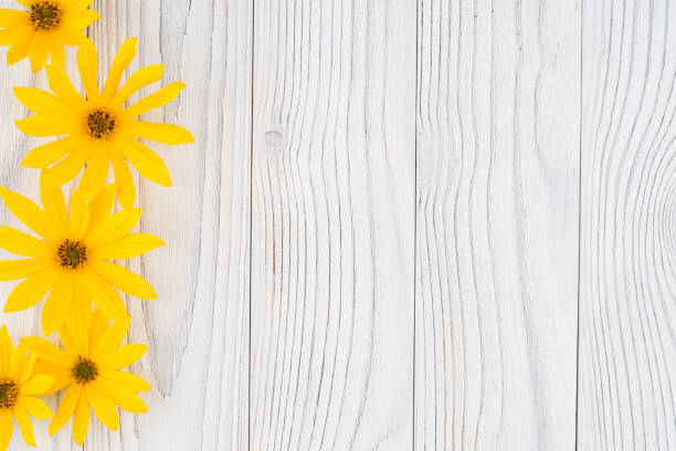 istock Yellow wild flower on white old wooden table. Top view. 1079649018