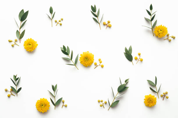 istock Spring Pattern Made Of Yellow Flowers And Green Leaves 1079650752