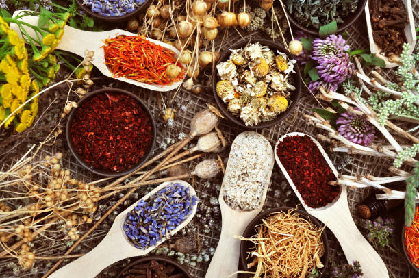 istock Medicinal flowers and herbs background 1079656534