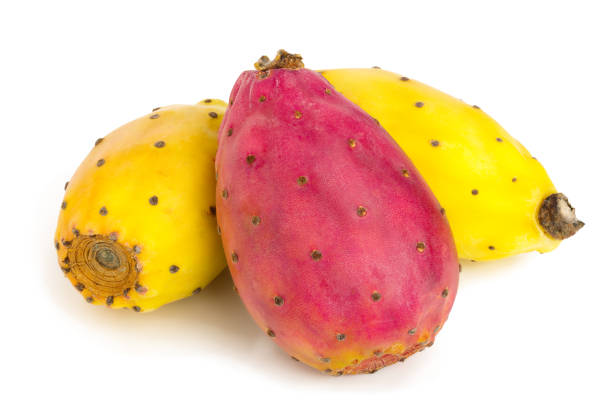istock red end yellow prickly pear or opuntia isolated on a white background 1079661082