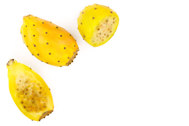 yellow prickly pear or opuntia isolated on a white background with copy space for your text. Top view. Flat lay.