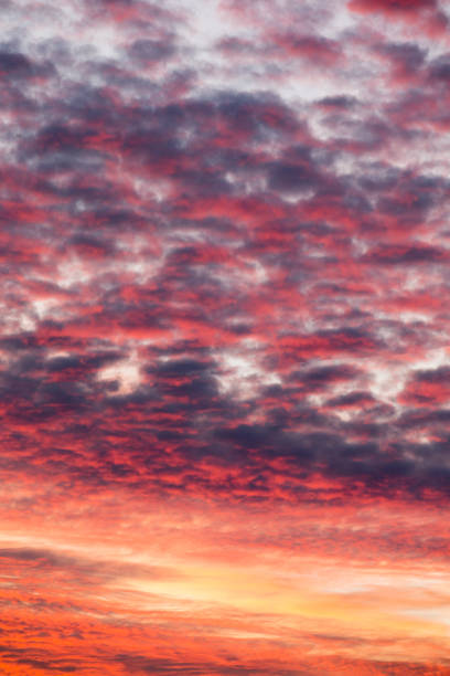 istock Colorful sunset sky over tranquil sea surface 1079666338