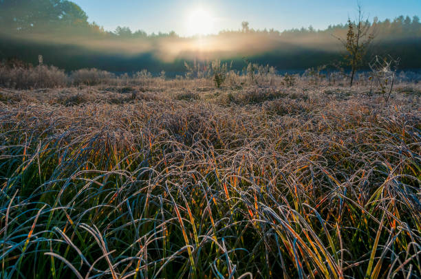 istock Frosty morning field. Autumn landscape 1079670164