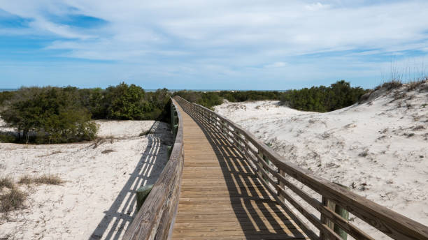 istock Savanna & Cumberland Island 1079682936