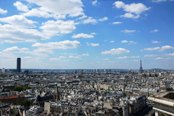 istock Panoramic view of Paris from Notre Dame of Paris 1079696498