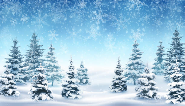 ilustraciones, imágenes clip art, dibujos animados e iconos de stock de la nieve y el bosque de invierno. - snowflake falling christmas backgrounds