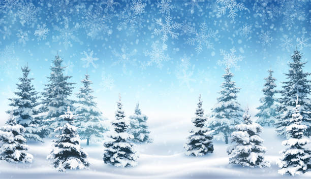 bildbanksillustrationer, clip art samt tecknat material och ikoner med snöfall och vintern skog. - winter landscape