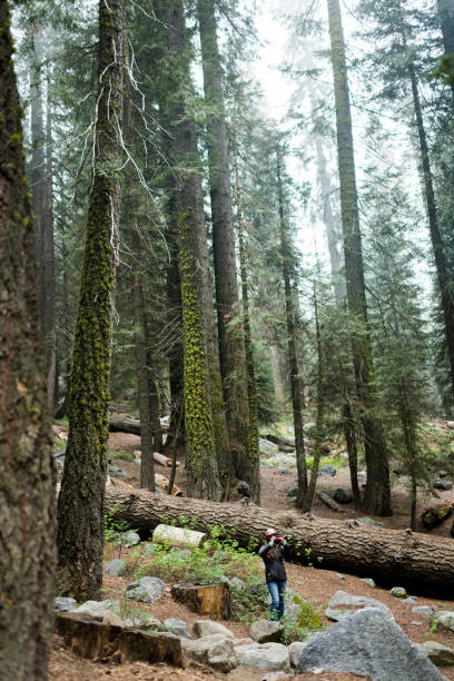 istock Female wondering about the forest taking pictures 1079719424