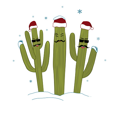 Three Christmas Saguaro Cactuses. Vector illustration. Winter in tropical climate concept. Three cacti friend in Santa Hats