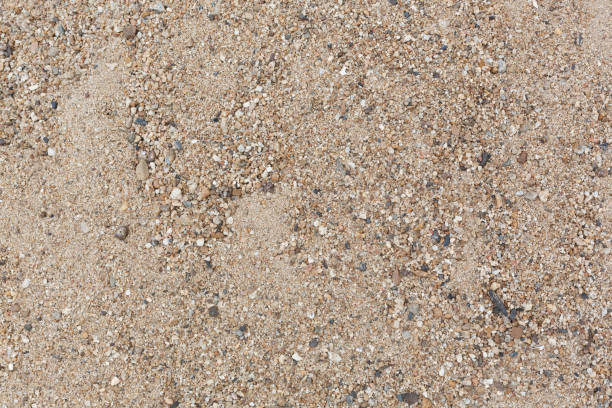 istock brown sand texture with small gravel, close up image 1079723846