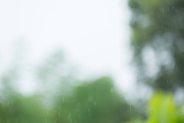 istock rain drop falling freshness with green bokeh nature, abstract blur background 1079725358