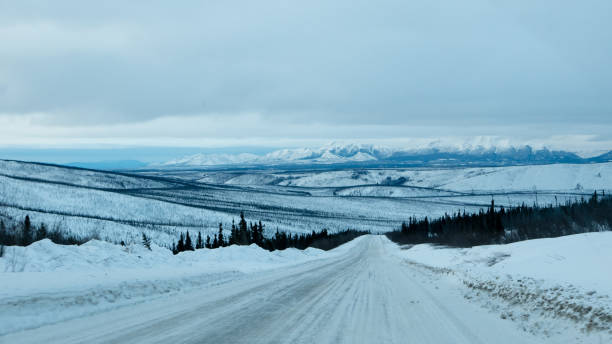 istock Taiga and Ice field in Alaska 1079730414