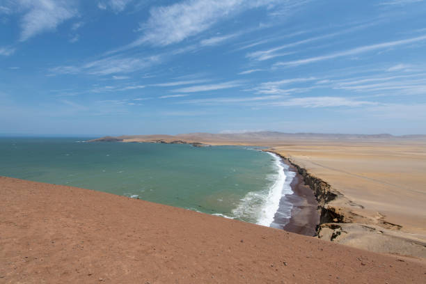 istock Paracas National Reserve 1079733032