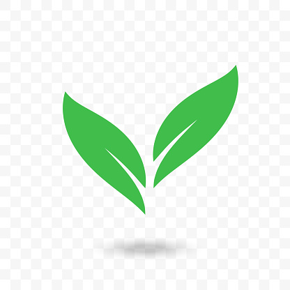 Green leaf vector logo. Isolated icon for vegetarian or vegan cafe, ecology environment and bio food label or horticulture design