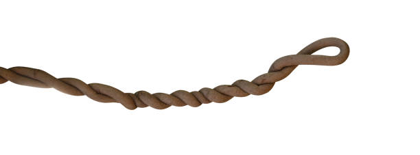 istock Twisted wild liana jungle vine isolated on white background, clipping path included 1079746760