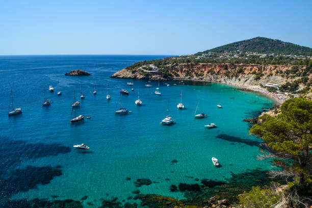 istock Top view of cala d'hort 1079761372