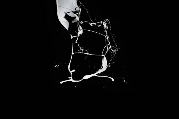 istock Milk splashes collection isolated on black background 1079762912