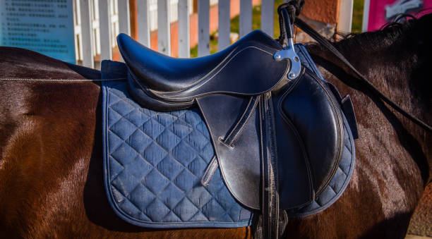 istock Saddle on the back of a brown horse 1079763664