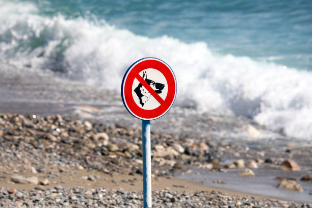 istock No Dogs Sign On A Beach 1079772400
