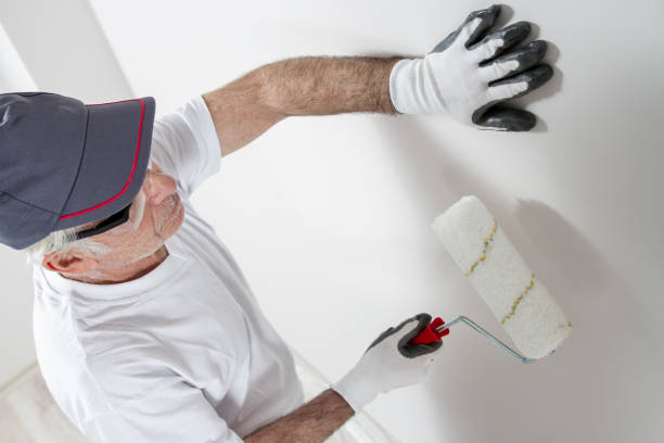 Painting The Wall By Roller stock photo
