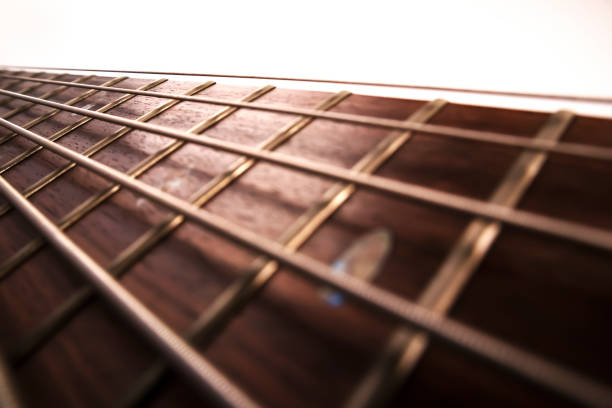 Rosewood bass guitar fret board and strings with backlight closeup