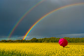 Approaching thunderstorm to the field with flower of rape plant