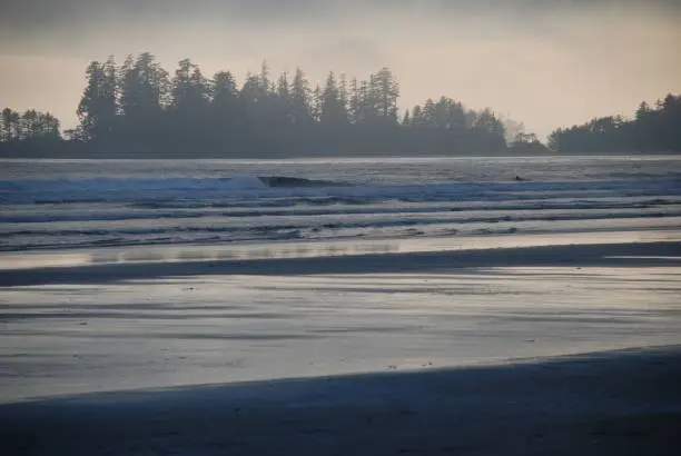 Great light on the beach close to Ucluelet with an amazing effect on the outline of the trees on the horizon