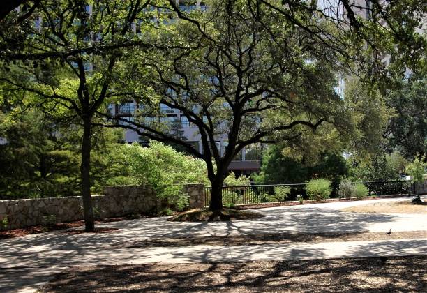 istock Shady Park Along the San Antonio Riverwalk 1079782166