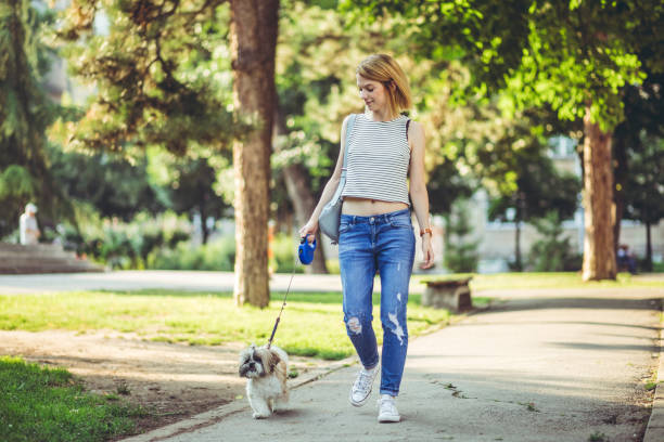 istock Woman with dog in a park 1079792184